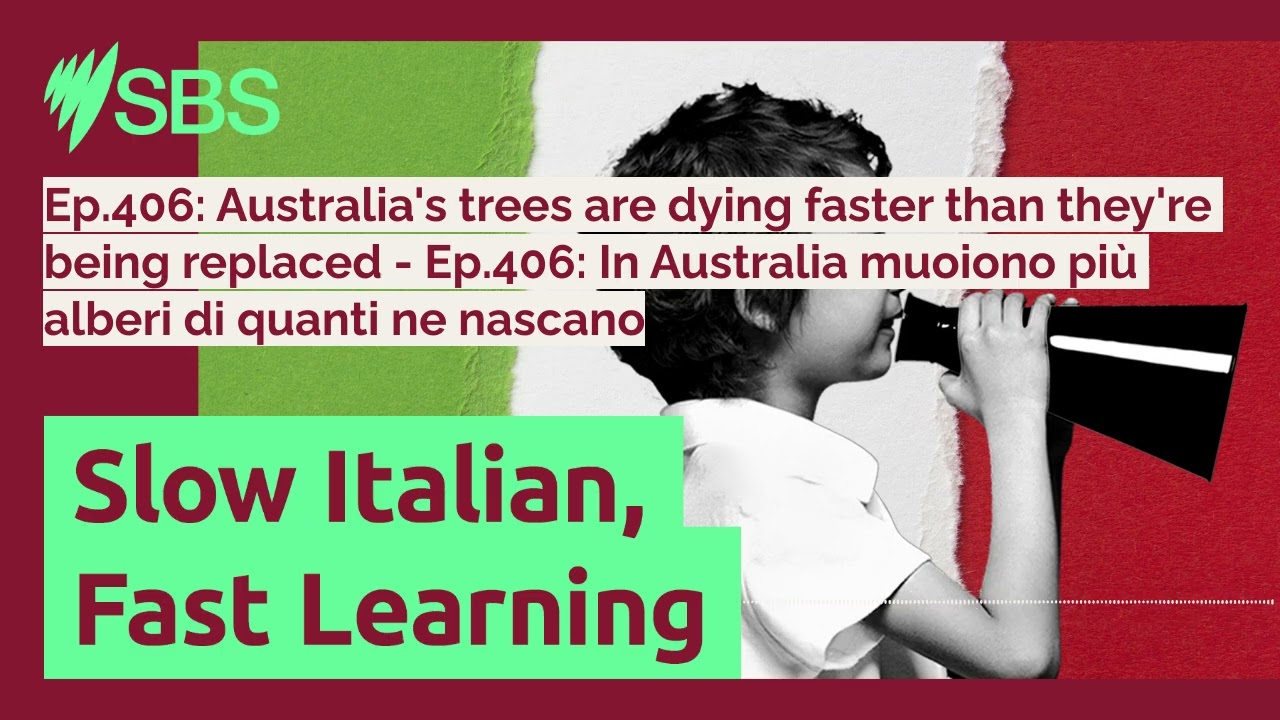 Ep.406: Australia's trees are dying faster than they're being replaced - Ep.406: In Australia...
