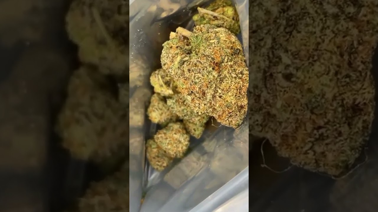 THE TEN CO WHITE ASH 🥞🍨 #tenco #cali #loudpack #viral #shorts #trending #youtubeshorts