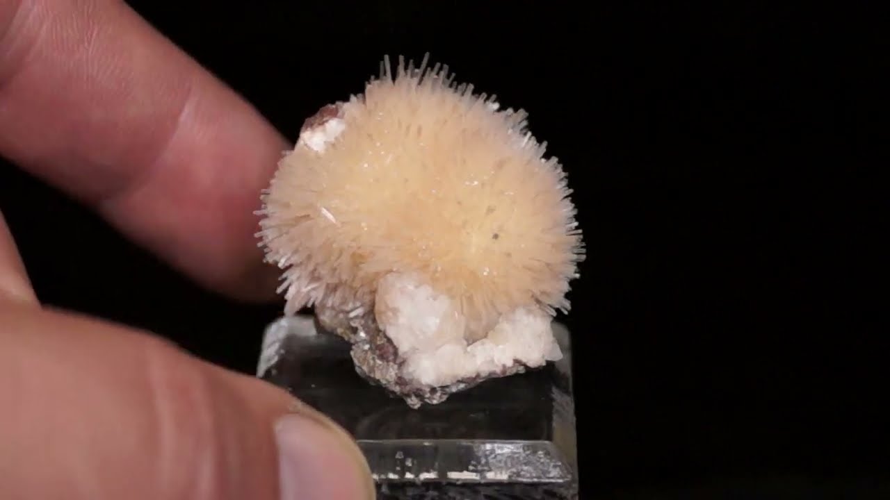 Natrolite, Wasson's Bluff, Cumberland Co., NS, Canada