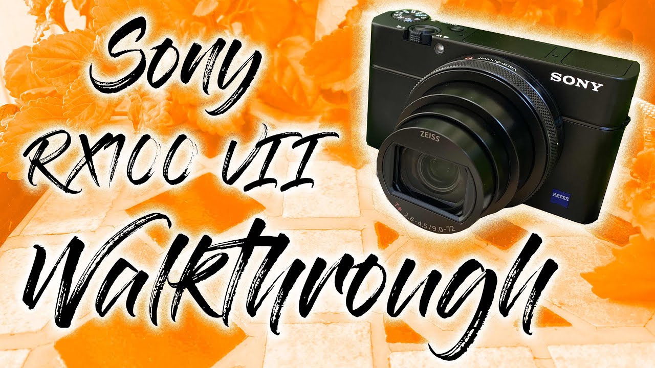 Sony RX100 VII Walkthrough