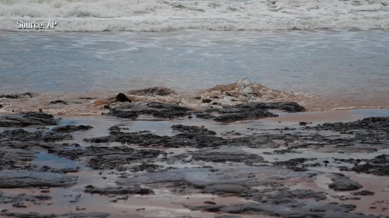 Oil-covered litter washing up on Palm Beach linked to 2019 Brazil oil spill