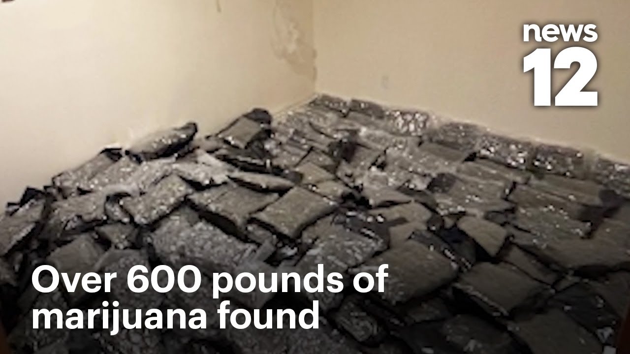 Более 600 фунтов марихуаны изъято после предполагаемого похищения в Бруклине | Новости 12