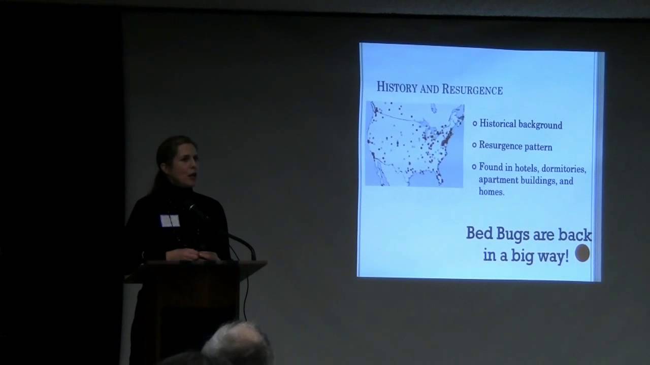 Bed Bugs DDT & Pesticides | Condominium Management Chicago