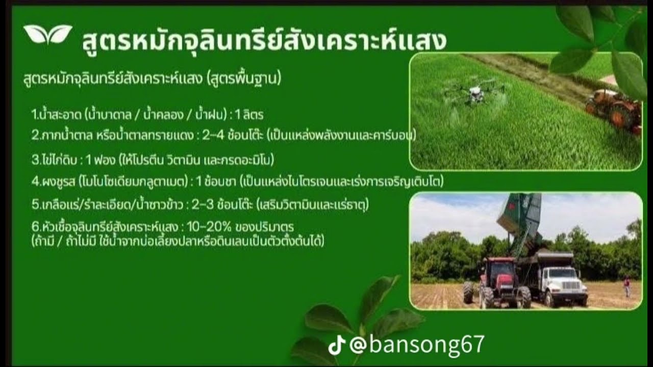 จุลินทรีย์สังเคราะห์แสง🌱🌱