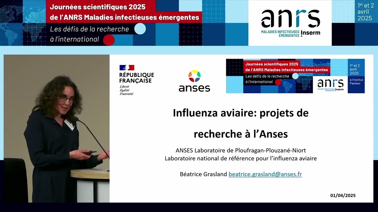 Influenza aviaire : sur quels projets travaille l’Anses ?