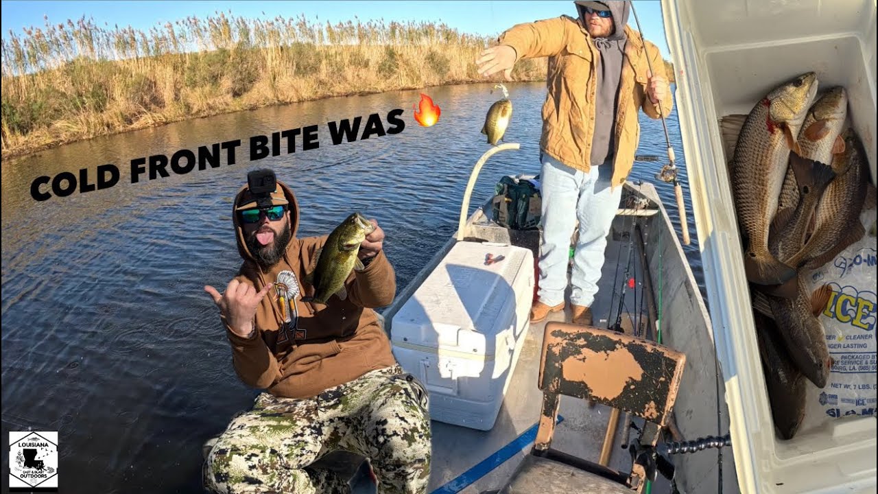 Ловля большеротого окуня | (СЮРПРИЗ) Максимальный улов красноперки!!