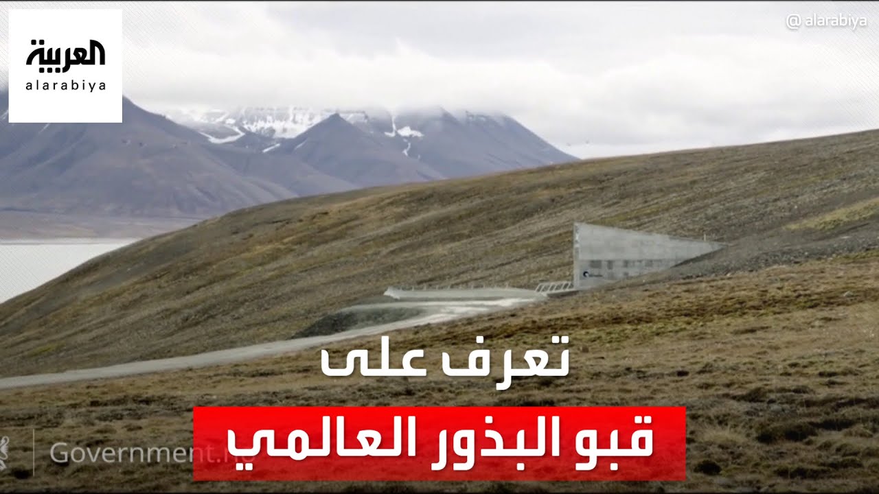 التاسعة هذا المساء| ماذا تعرف عن بنك البذور العالمي 