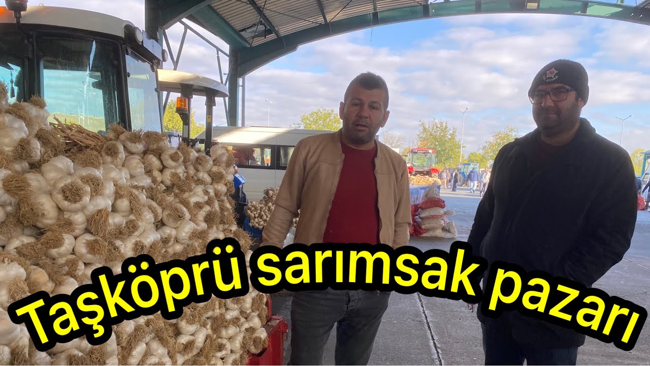 Kastamonu Taşköprü Sarımsağına Büyük İlgi haftalık güncel fiyat bilgisi 🧄🧄
