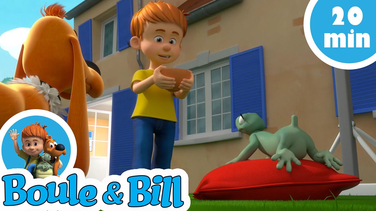 ✨Boule et Bill viennent aider les autres 😍- Nouvelle compilation Boule et Bill FR