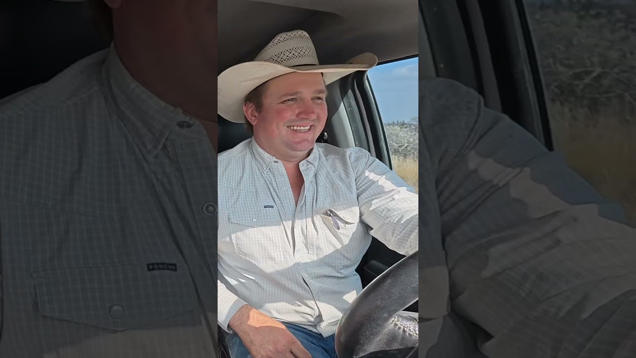 Powell Herefords: The Black Sheep Story
