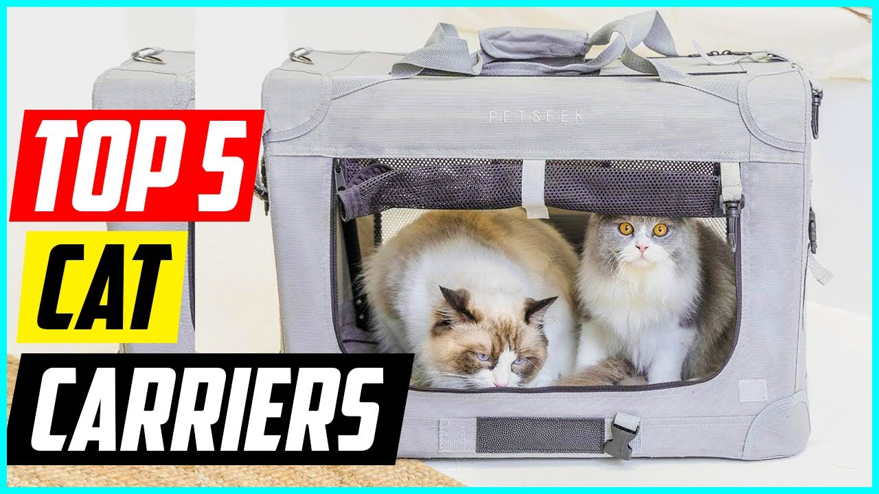 5 Best Cat Carriers for 2025