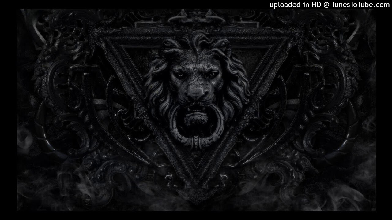 X-Ray Dog - Elegant Friction 432Hz