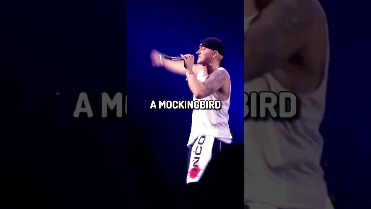 Mockingbird - Live Performance By Eminem #mockingbird #eminemlive #liveperformence