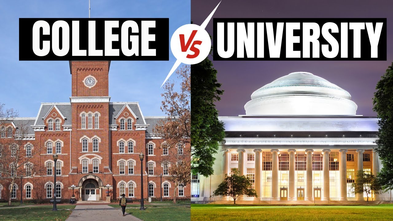 College vs University | Differences and similarities