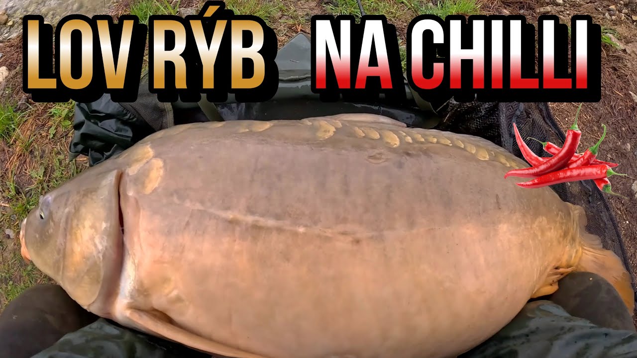 Lov R&yacute;b na Chilli Papričky🌶️ a Gumen&eacute; Medved&iacute;ky🧸 Obrovsk&yacute; Kapor !