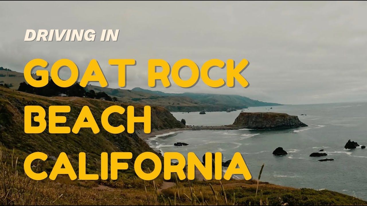 Goat Rock Beach Drive | Sonoma County, California | 4K | Relaxing Music