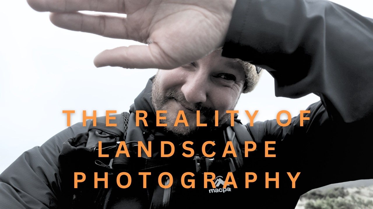 Photography at Piha Beach and surrounds in moody New Zealand weather.