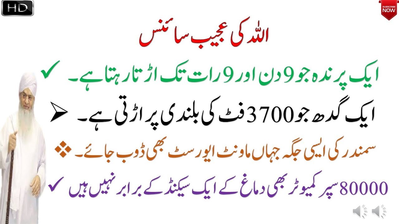 ALLAH ki Ajeeb Science || Short Clip