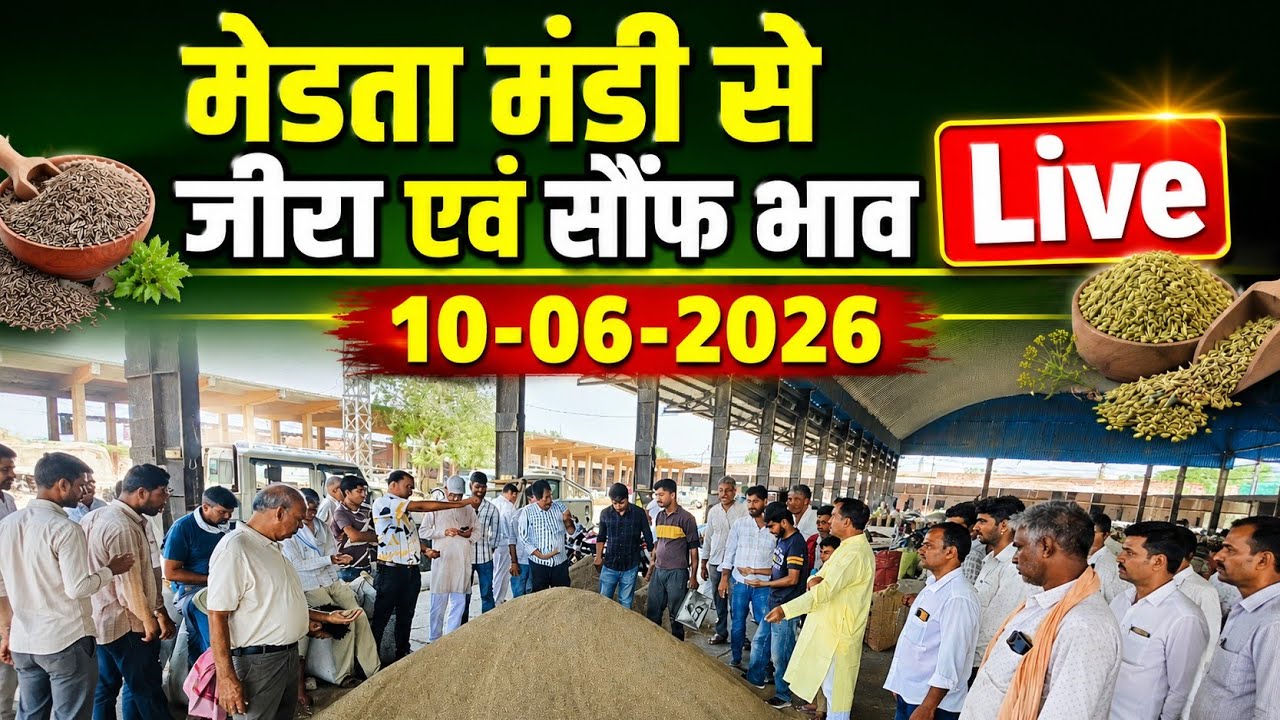 मेड़ता मंडी जीरा भाव Live | Jeera Bhav Today | Merta Mandi Bhav Online 10.06.2026