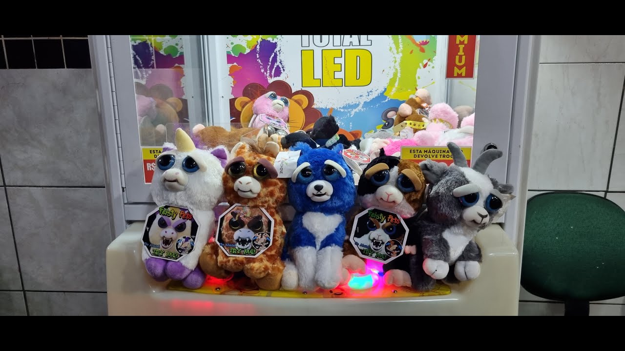 FESTIVAL FEISTY PETS......