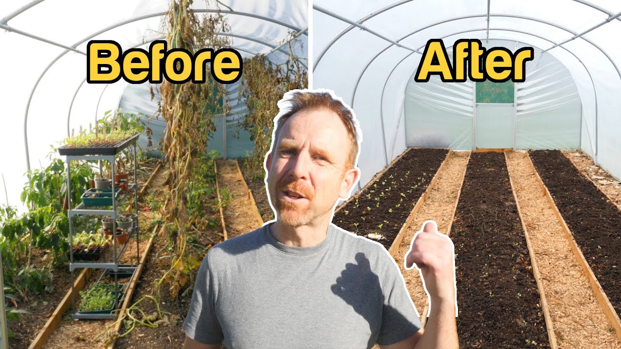 I Did THIS to Grow Food YEAR-ROUND