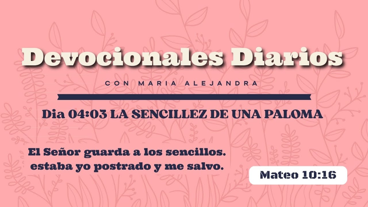 ¿Dejas que abusen de tu bondad? Jesús nos enseña el equilibrio 🕊️