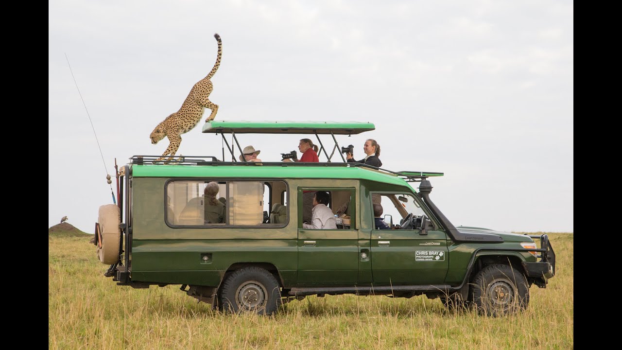 Photo Safaris with Chris Bray Photography