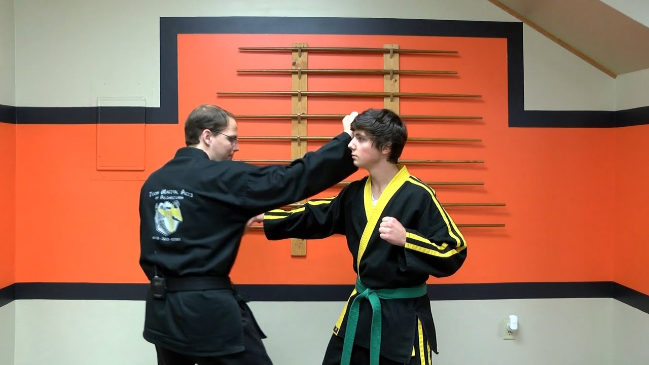 Deep Dive into Kempo Self-Defense Techniques: Applications in Formulation