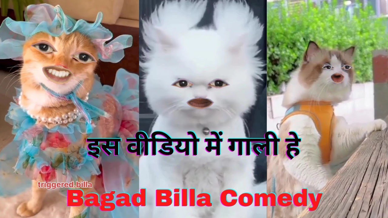 Bagad Billla Roast | Bagad Billla Funny Video
