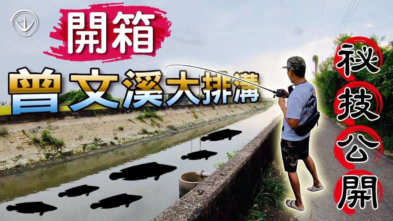 開箱曾文大排溝/超扯～太小看這條水溝了。沒見過這樣的事！！ (下) #鵝大人 #排水溝 #潮汐