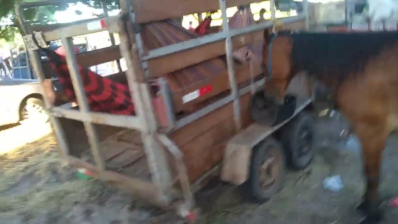 VAQUEJADA PARQUE SANTA CLARA - PRENSA  (Bastidores)