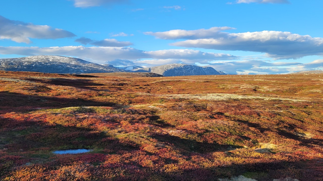 Dovrefjell hiking autumn 2025