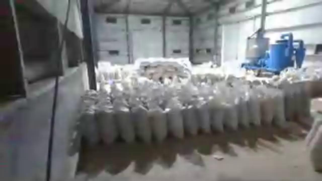 Re-bagging maize at CTED Warehouse at Wonoo