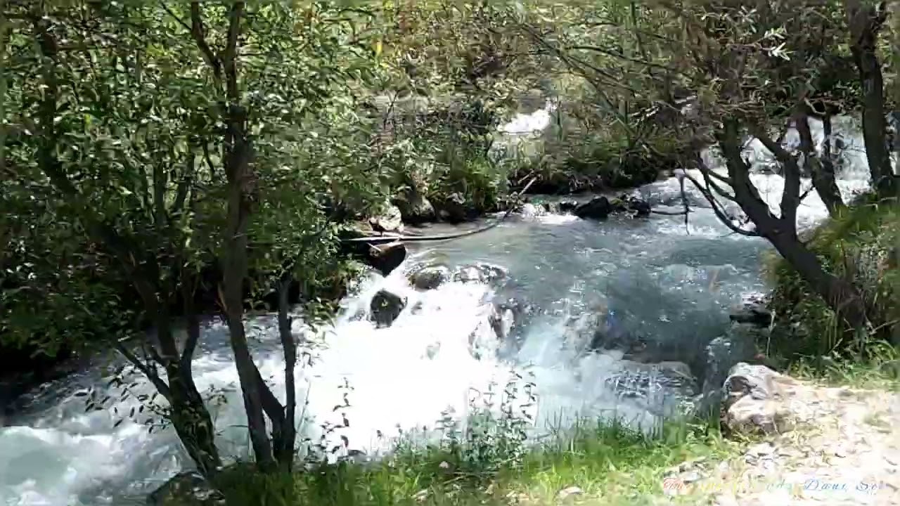Sooq/Souk Valley, Skardu ; Gilgit Baltistan.