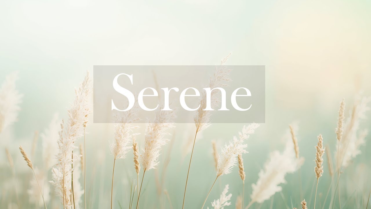 Peaceful Acoustic Guitar and Cello 🎻🎸 Serene Background Music to Unwind 🕯️