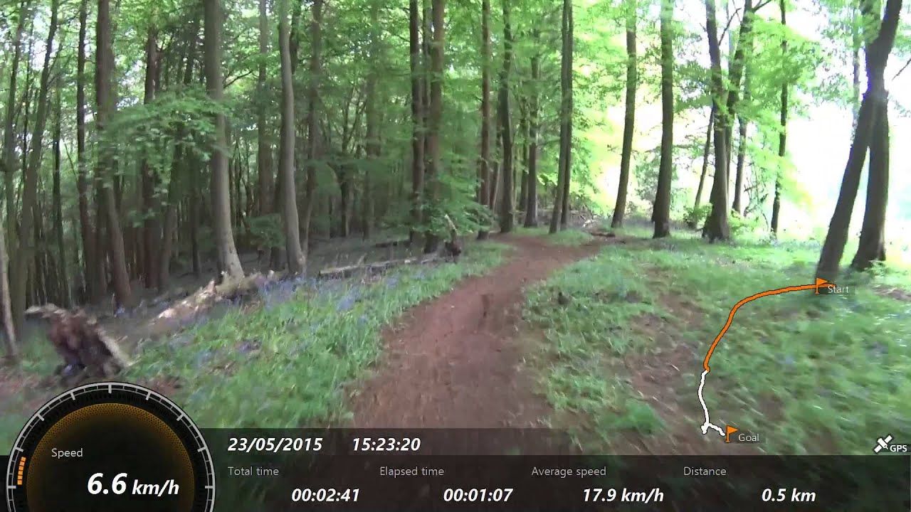 Deep Wood descent Clent HIlls 23 05 15