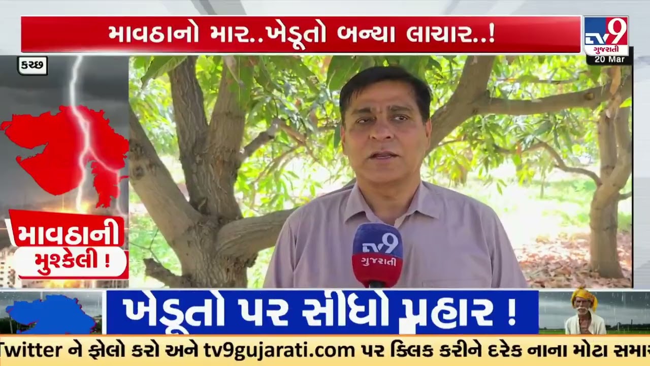 Unseasonal Rain Wreaks Havoc in Kutch Farmers Suffer Heavy Loss Across Multiple Crops | TV9Gujarati