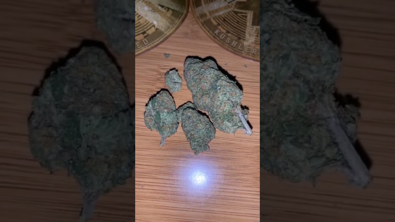 Smokers club review! @Zmokeysettingz on ig