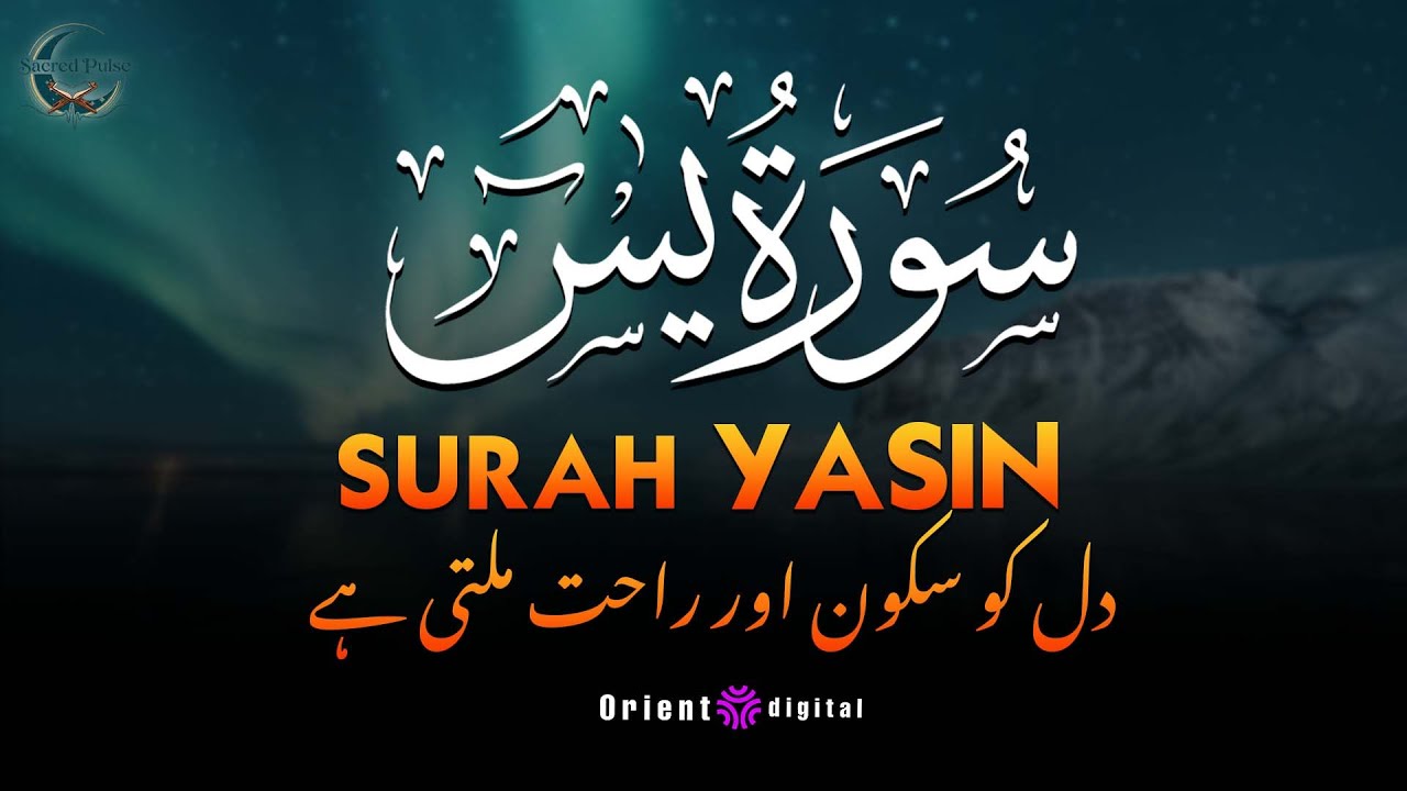 Surah Yaseen with Urdu & Hindi Translation | Beautiful Quran Tilawat by Sheikh Omar Qraitna | اردو
