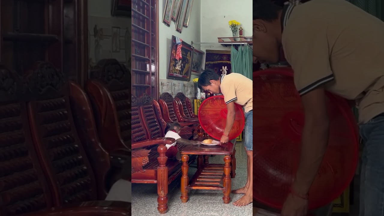 Cutis' lovely call made dad wake up to have breakfast with his child #cutis #monkey #babymonkey