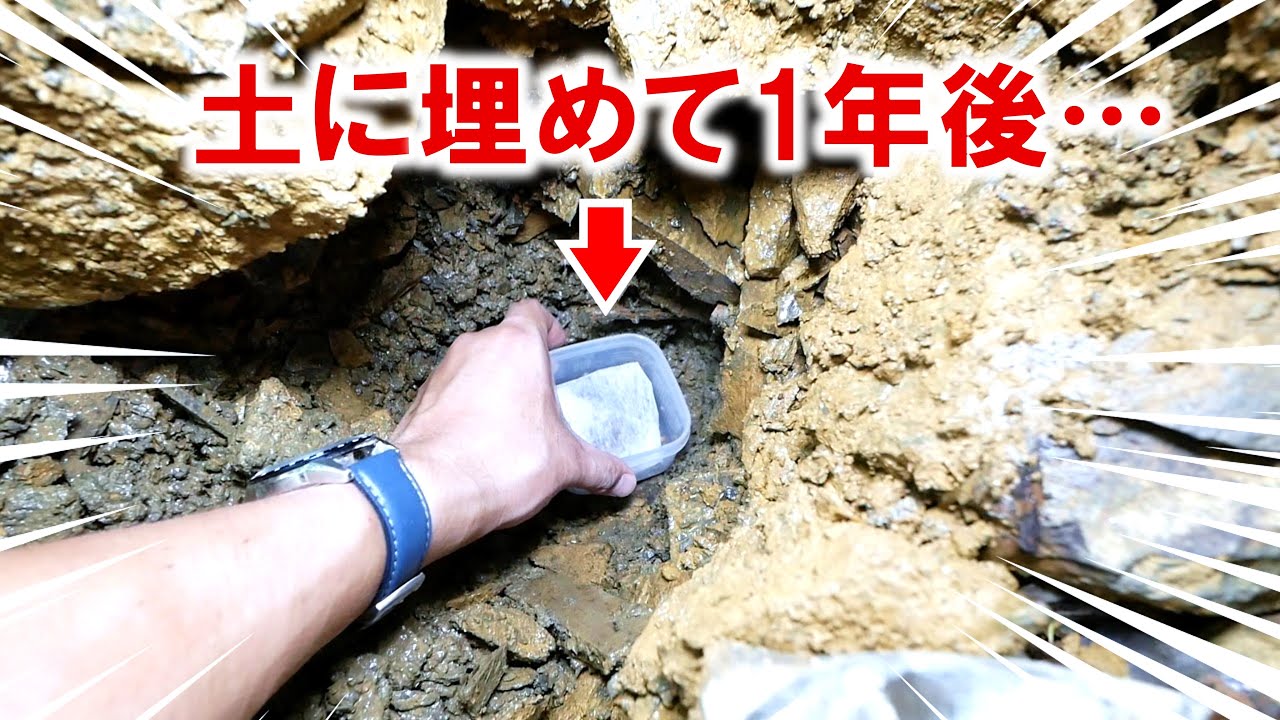 生き物がひそむ穴にトラップを1年間埋めてみた