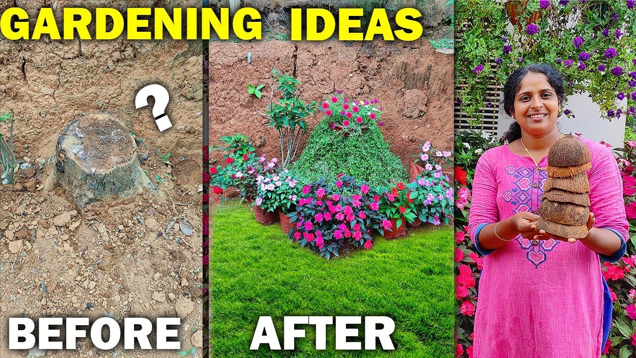 ഒരു മരക്കുറ്റി പോലും വെറുതെ വിടില്ല.. | new gardening ideas
