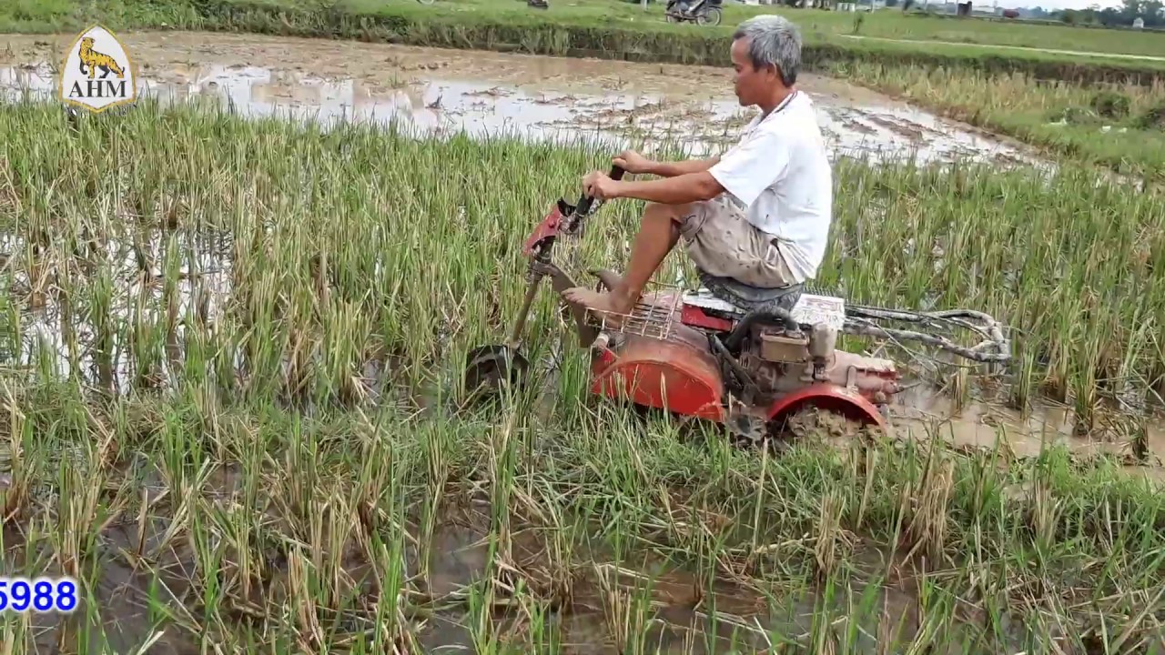 Máy xới đất Mini thực hiện chức năng ở ruộng nước và ruộng khô tốt nhất Việt Nam