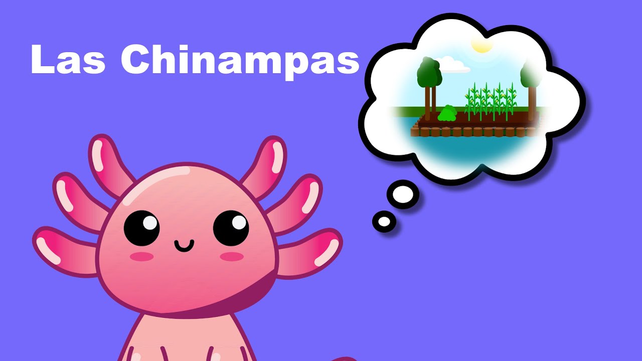 Las Chinampas. Una hermosa tradición ecológica que se intenta salvar