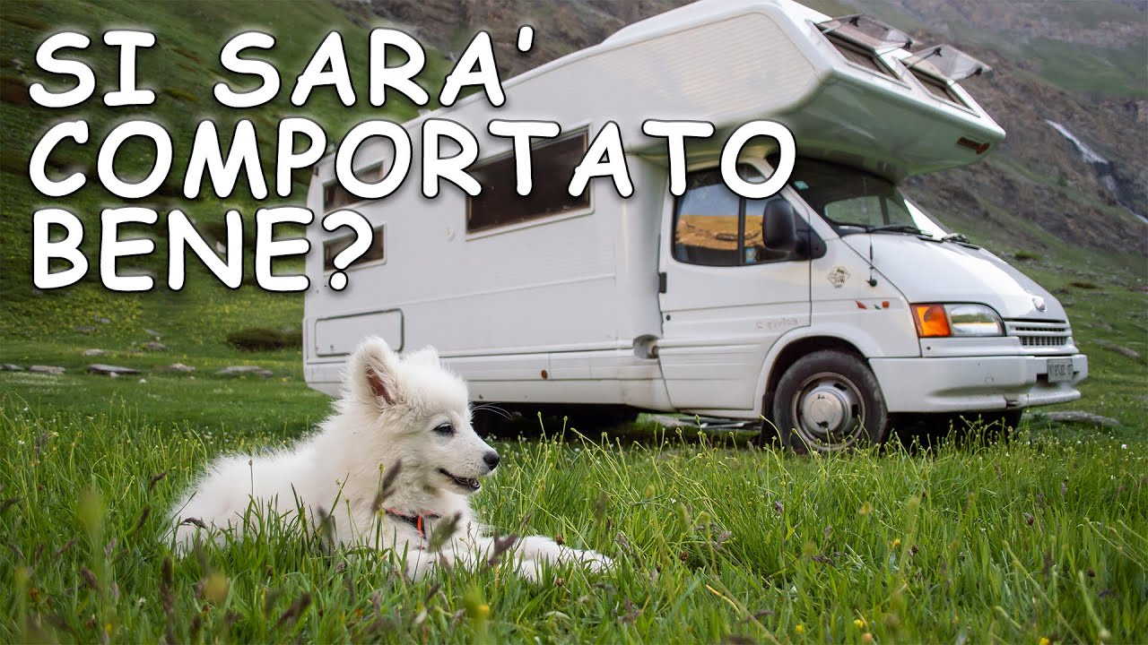 CUCCIOLO DI 2 MESI IN CAMPER - Prima Volta Con Karlek a Bordo! Pt.1