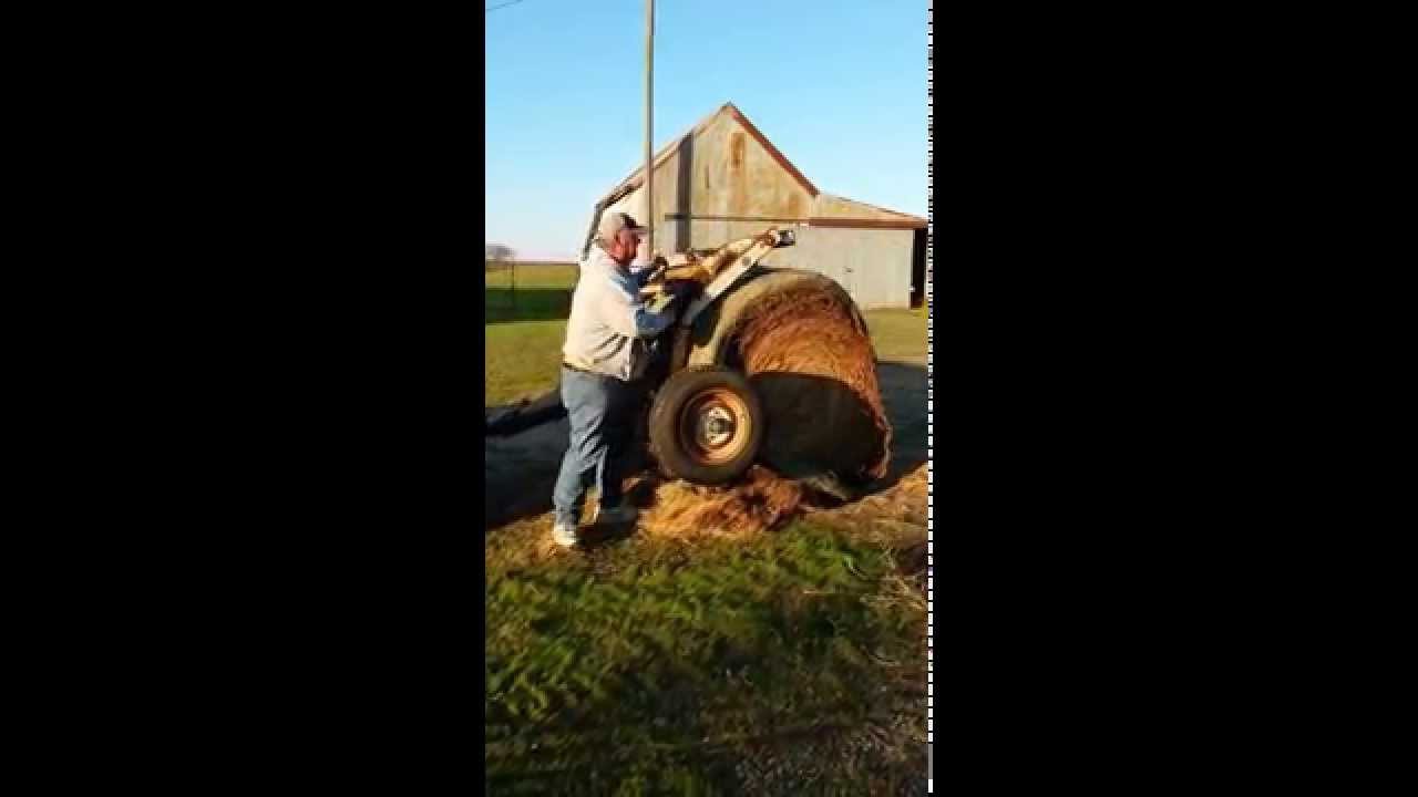 TUMBLEBUG HAY DOLLY