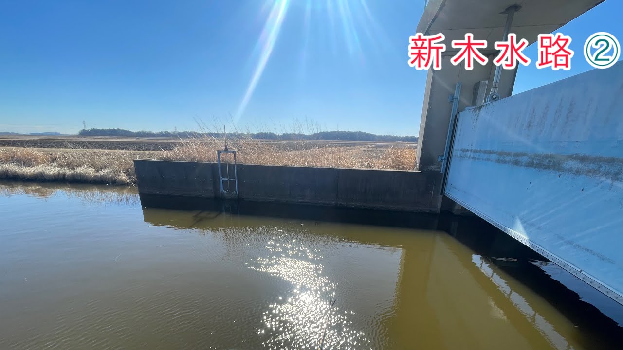 #3 【新木水路】 リベンジしに… 2026.1.29