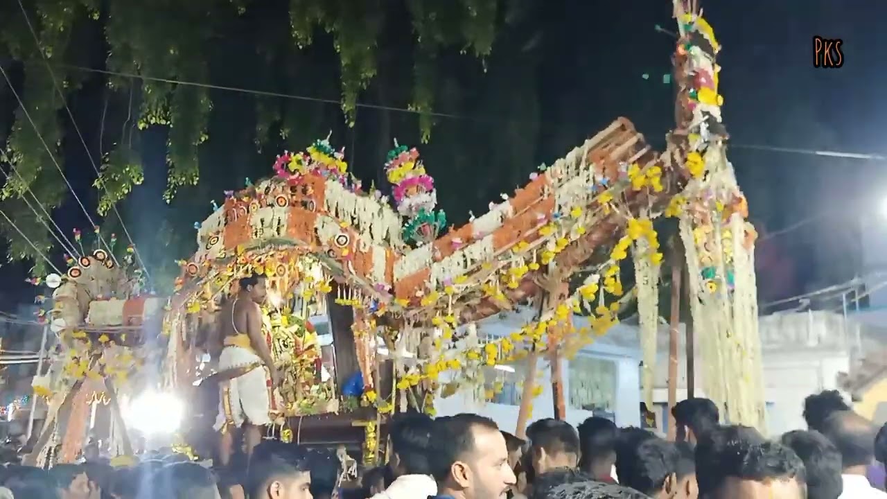 எமனேஸ்வரம் வரதராஜ பெருமாள் வஸந்தோத்ஸவம் திருக்கோவில் எழுந்தருள் #emaneswaram#varatharaja perumal