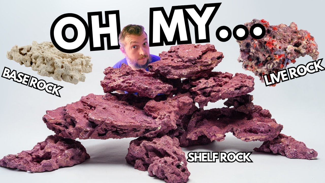 Reef Hobbyists NEED TO KNOW About Marco Rocks for Aquariums