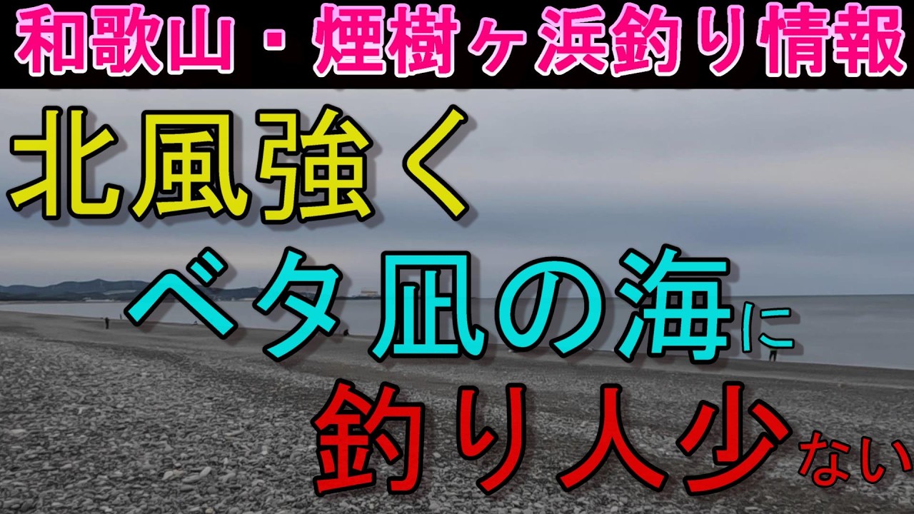 03-13　煙樹ヶ浜釣り情報・取材編【第1543回】強烈な北風が吹く中、海は凪いでいるが釣り人は少ない。 ＃遠投カゴ釣り #和歌山・釣り #煙樹ヶ浜